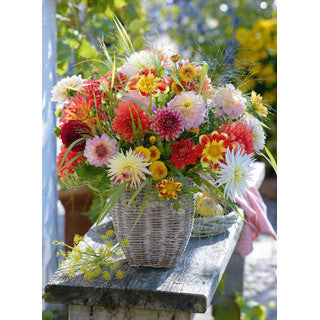 Beautiful Flowers 500 Puzzle - Ravensburger - eBeanstalk