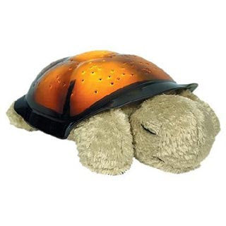 Twilight Turtle - cloud b - eBeanstalk