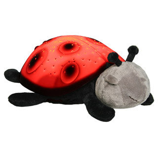 Twilight Ladybug - cloud b - eBeanstalk