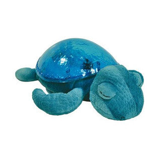 Tranquil Turtle - AQUA - cloud b - eBeanstalk