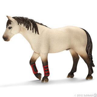 Trained Horse - Schleich - eBeanstalk
