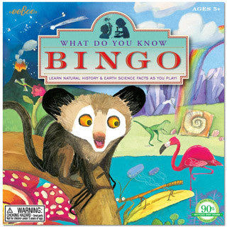 What Do You Know Bingo - eeBoo - eBeanstalk
