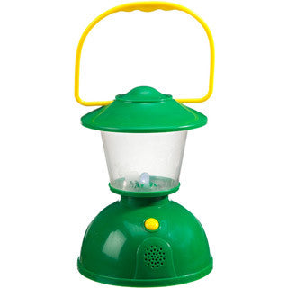 Natures Sounds Lantern - Insect lore - eBeanstalk