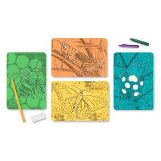 Textured Stencils Insects - Melissa and Doug - eBeanstalk