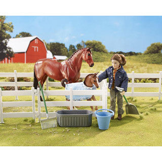 New Arrival At The Barn - Reeves - eBeanstalk