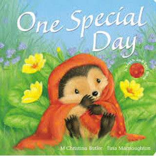 One Special Day - Scholastic - eBeanstalk
