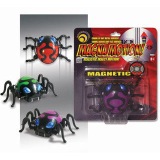 Magna Motion Beetle - Play Vision - eBeanstalk