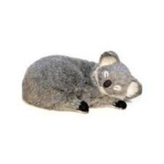 Koala - Perfect Petz - eBeanstalk