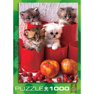 Kittens in Pots Puzzle - Eurographics Puzzles - eBeanstalk