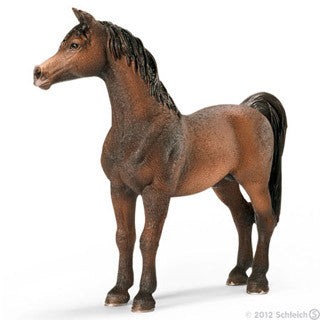 Arabian Stallion - Schleich - eBeanstalk