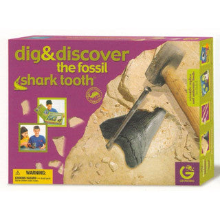 Dig & Discover Shark Tooth - Geoworld - eBeanstalk