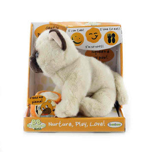 Siamese Kitten - Teeboo - eBeanstalk