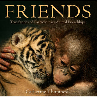 Friends - Houghton Mifflin Harcourt - eBeanstalk